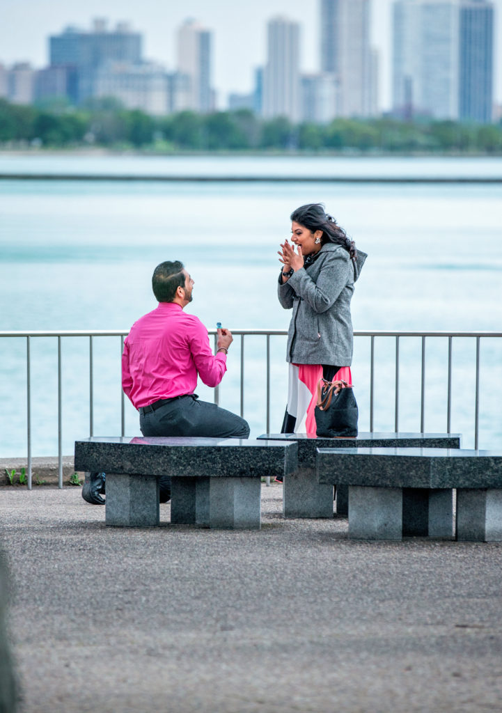 Surprise Proposal of Priya & Nish